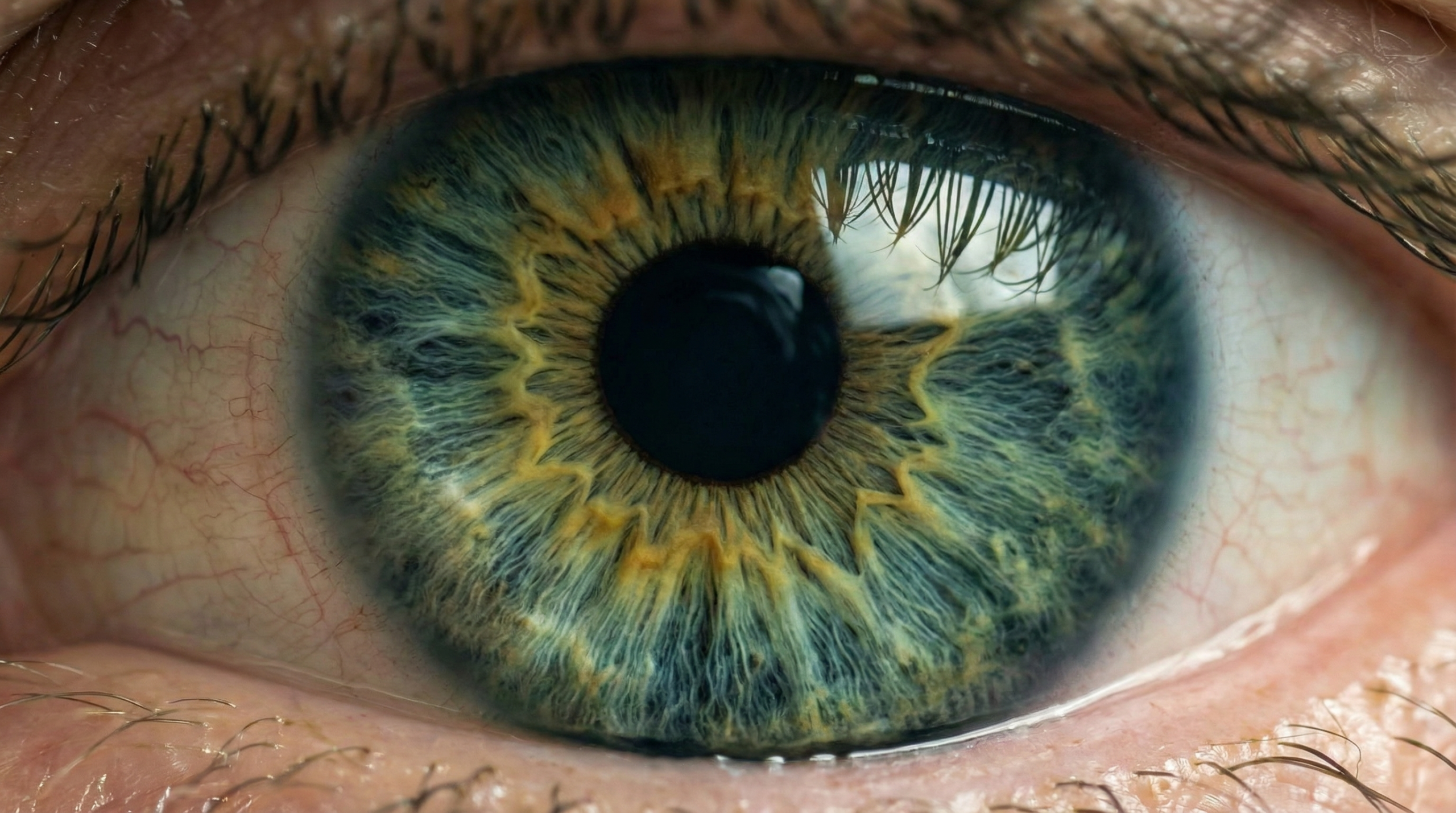 Plano Macro 2